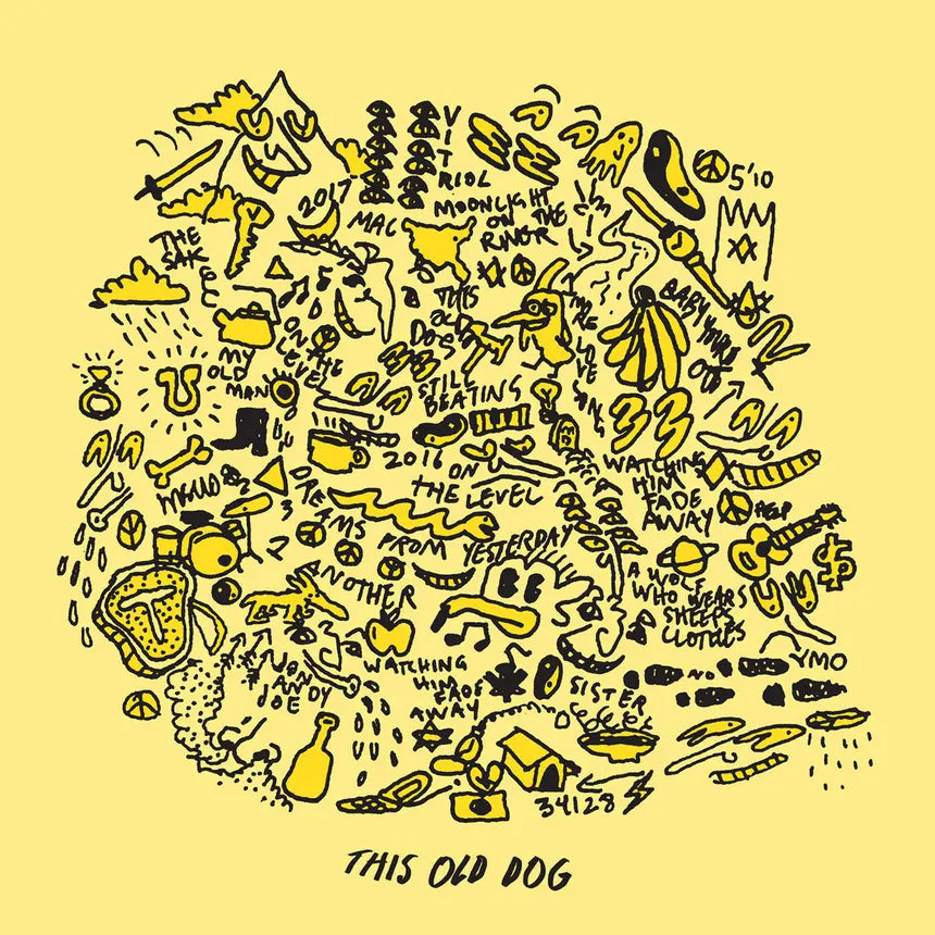 Mac DeMarco — This Old Dog